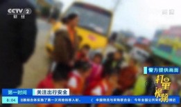 广西田林新闻爆料事件视频,事件视频引发社会关注